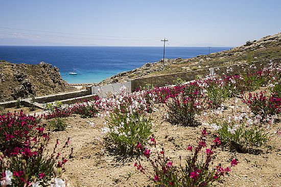 Mykonos Villas - Villa Aphrodite