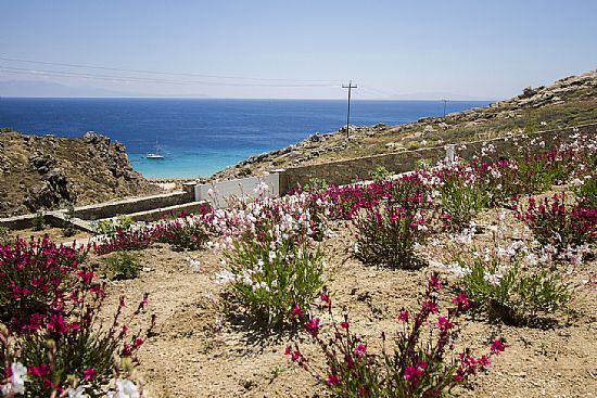 Mykonos Villas - Villa Elea 